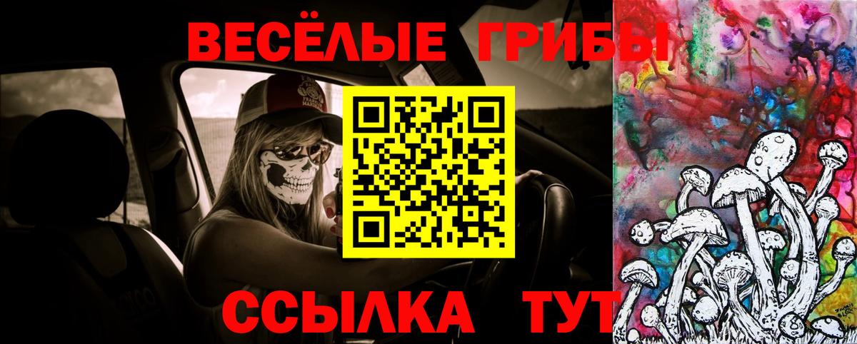 Керчь  Галлюциногенные грибы GOLDEN TEACHER  Вход с VPN 